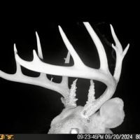 215 Acres in Hardeman County MS