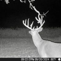 215 Acres in Hardeman County MS images 2