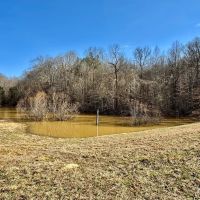 215 Acres in Hardeman County MS images 4