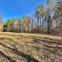 215 Acres in Hardeman County MS images 5