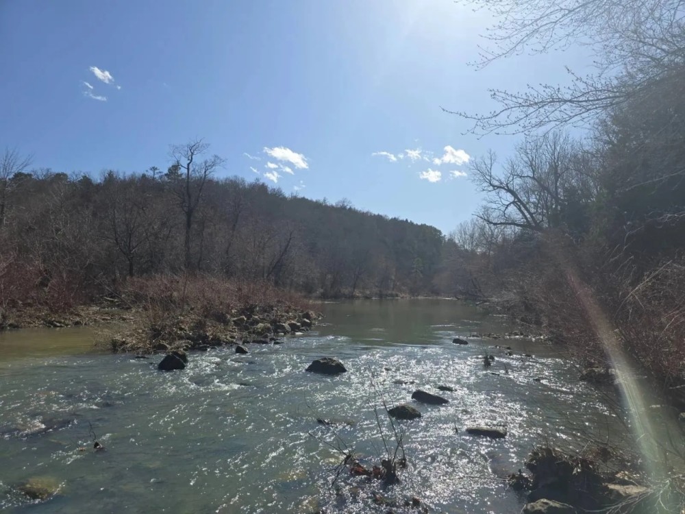 34.64 ACRES ON MOUNTAIN FORK CREEK featured image