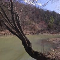 34.64 ACRES ON MOUNTAIN FORK CREEK images 2