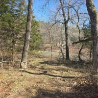 34.64 ACRES ON MOUNTAIN FORK CREEK images 4