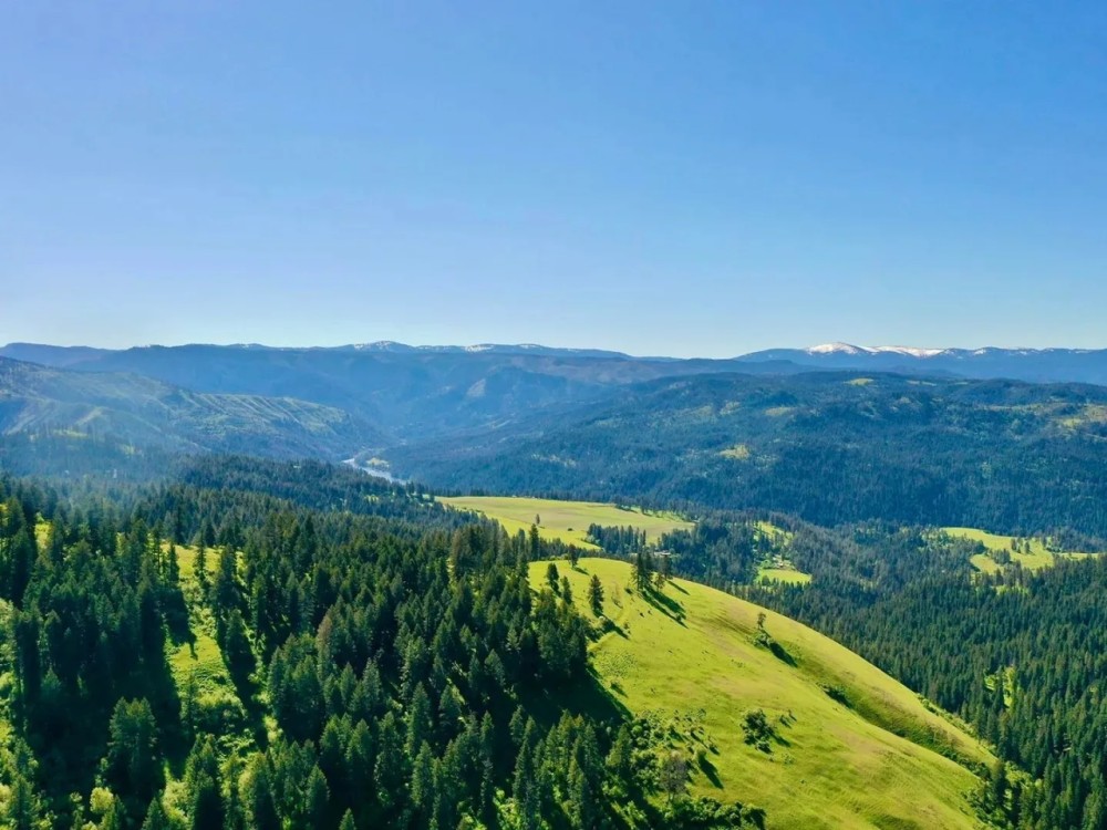 Henry Cattle Ranch featured image