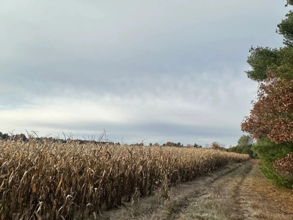 122 - Acres Outdoor Paradise in Waushara County WI featured image