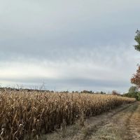 122 - Acres Outdoor Paradise in Waushara County WI