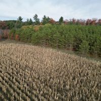 122 - Acres Outdoor Paradise in Waushara County WI images 4
