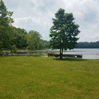 Edmonson Access 110 Acres of Turkey and Deer hutning in Benton, MO images 4
