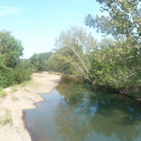 Edmonson Access 110 Acres of Turkey and Deer hutning in Benton, MO images 5