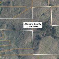 Cabin on 5 acres in Birdsall NY 3346 Old York Drive bordering County Land images 5