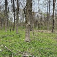 Etown Woodlands images 3