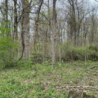 Etown Woodlands images 4