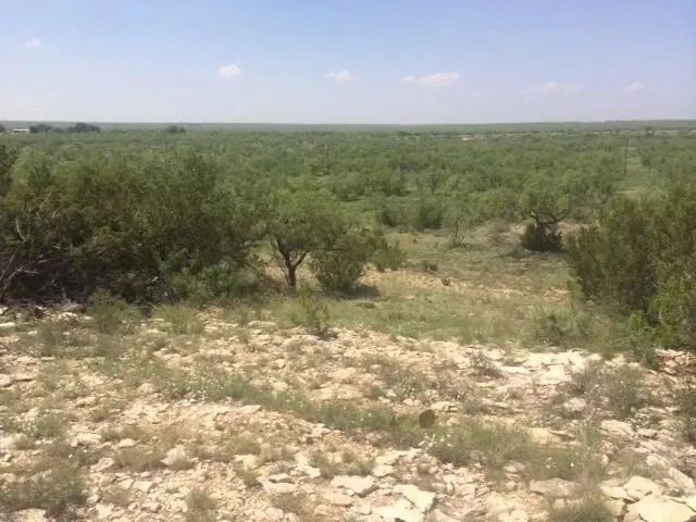 West Texas Land for Sale in Irion County featured image