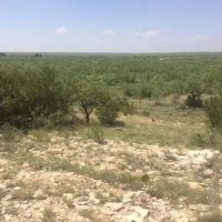 West Texas Land for Sale in Irion County images 1