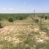 West Texas Land for Sale in Irion County images 3