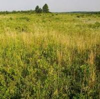 Elam Bend CA 1483 Acres of Rabbit and Deer Hunting in Gentry, MO images 3