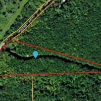 10 acres Timberland with Creek in Corning NY West Road images 3