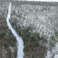 10 acres Timberland with Creek in Corning NY West Road images 4