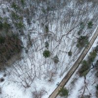 10 acres Timberland with Creek in Corning NY West Road images 5