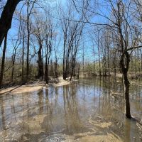 29 Acres in Jackson Parish LA