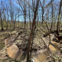 29 Acres in Jackson Parish LA images 3