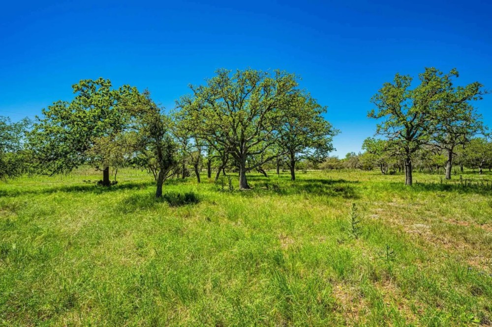 Kerr County Oak View Ranch W of Harper featured image