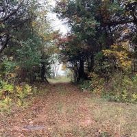 Lincoln County Oklahoma Hunting Recreational Land for Sale images 2