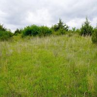 Lincoln County Oklahoma Hunting Recreational Land for Sale images 4