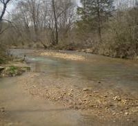 235 Acres Elmslie Memorial CA Deer and Squirrel Hunting in Jefferson, MO images 4