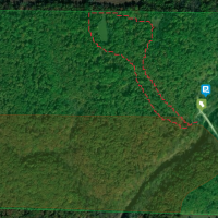 235 Acres Elmslie Memorial CA Deer and Squirrel Hunting in Jefferson, MO images 2