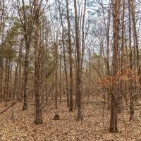 Drury Road images 3