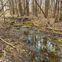 Drury Road images 5
