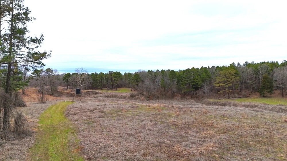 76.82 Acres in Benton County MS featured image