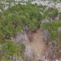 76.82 Acres in Benton County MS images 5