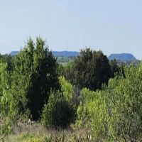 Three bdr house 52 gorgeous acres More than 5400 sq feet other buidlings images 3