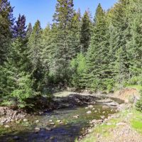 Dayton Ranch images 2