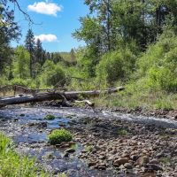 Dayton Ranch images 3