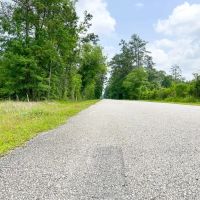 51 Acres Cravens Camp Rd. D-1 Silsbee Stake images 5