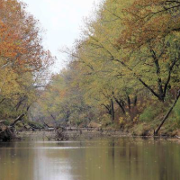 57 Acres Elrod Mill Access Rabbit and Squirrel Hunting in Andrew, MO images 5