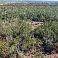 1865 N Hwy 326 Kountze Texas 77625 Hardin County images 4