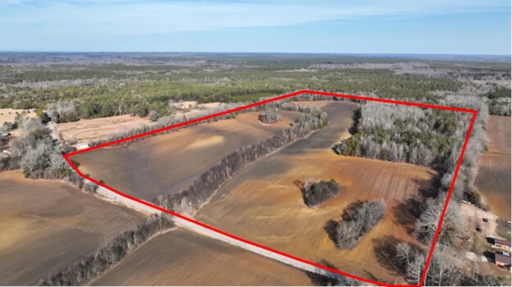 Chickasaw County - 69 acre - Ag Rec Residential Tract featured image