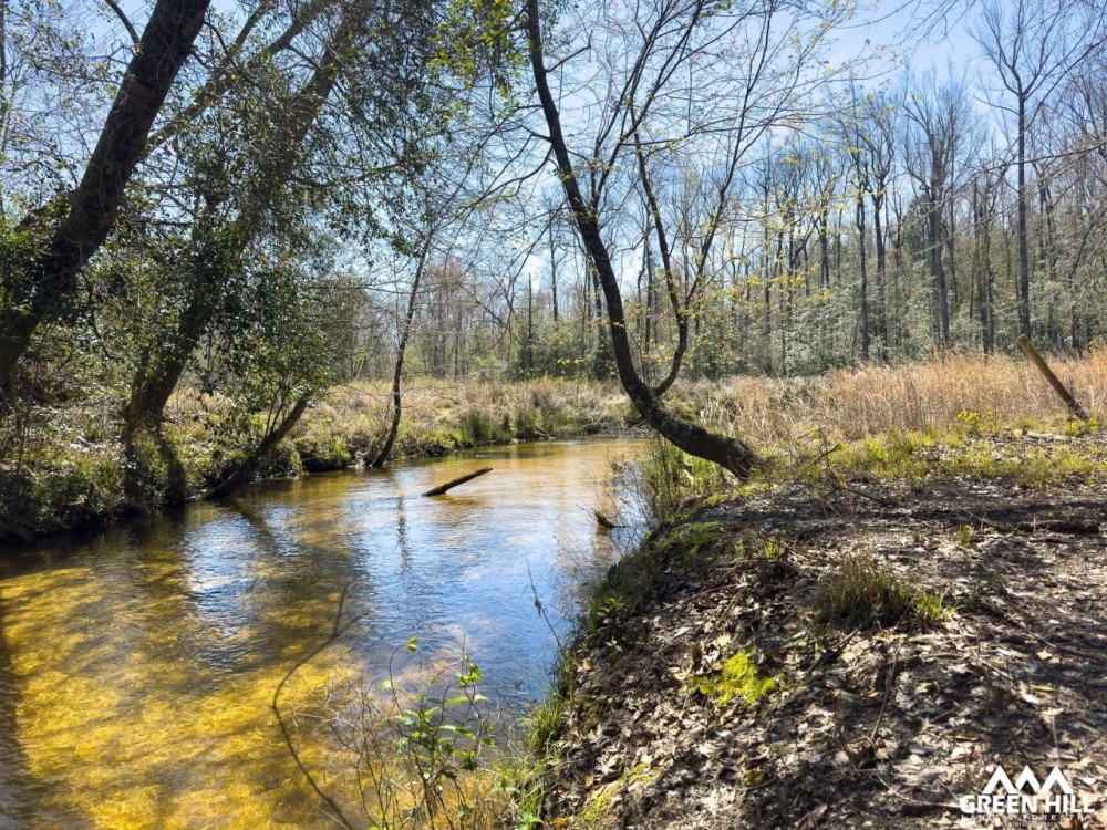 Reedy Creek Mini-Farm featured image