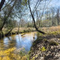 Reedy Creek Mini-Farm