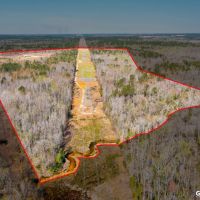 Reedy Creek Mini-Farm images 2