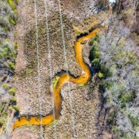 Reedy Creek Mini-Farm images 3