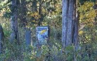 Ferguson-Herold CA 175 Acres for Deer & Dove Hunting in Lafayette, MO images 2