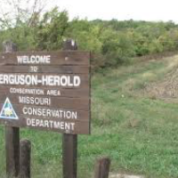 Ferguson-Herold CA 175 Acres for Deer & Dove Hunting in Lafayette, MO images 3