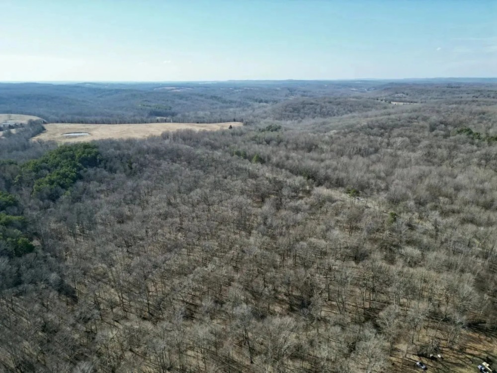 Hardin CO. 40 ACRES - featured image