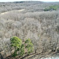 Hardin CO. 40 ACRES - images 2