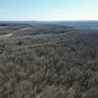 Hardin CO. 40 ACRES - images 5